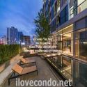 Condo Chewathai Residence Asoke 35 ตารางเมตร 1BEDROOM1ห้องน้ำ 5600000 THB   โครต-ถูก