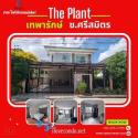 ขาย บ้านเดี่ยว ทำเลดีเดินทางสะดวก The Plant Thepharak - Bangna 180 ตรม 50.3 ตรว