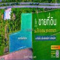 ขายที่ดิน 14 ไร่  ติดถนนใหญ่ เส้น Bypass 126 พิษณุโลก ทำเลดี ใกล้ศาลากลางใหม่