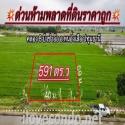 ขายด่วนที่นาสวยทำเลดี ติดทางสาธารณะ 8 ม. คลอง 8 ปทุมธานี