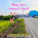 ที่ดินคูบางหลวง ลาดหลุมเเก้ว ปทุมธานี 5ไร่ 2งาน ไร่ละ 5.5 ล้านบาท