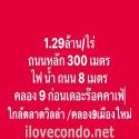 ทำเลดี ราคาหายาก ที่ดินเยื้องตลาดคลอง8 ซอย ร้านอาหาร บ่อตกปลา รีสอร์ท เดอะร็อก 1 ไร่ 1.29ล้าน