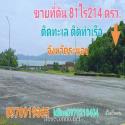 ขาย ที่ดิน ติดทะเล ติดท่าเรือ 81 ไร่ 214 ตร.วา จังหวัดระนอง