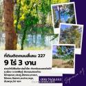 ขายที่ดินเนื้อที่ 9 ไร่ 3 งาน อ.เมือง จ.กาฬสินธุ์ ติดถนนทางหลวงหมายเลข 227 กม.ที่ 19