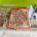 ที่ดินจัดสรร 100 ตร.ว. ซอยสังฆสันติสุข 48 หนองจอก ทำเลดี