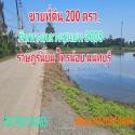 ขาย ที่ดิน ไทรน้อย 200 ตร.วา ติดทางหลวงชนบท ต.ราษฎร์นิยม  จ.นนทบุรี