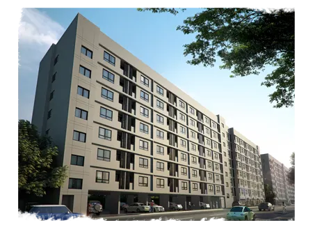624 Condolette